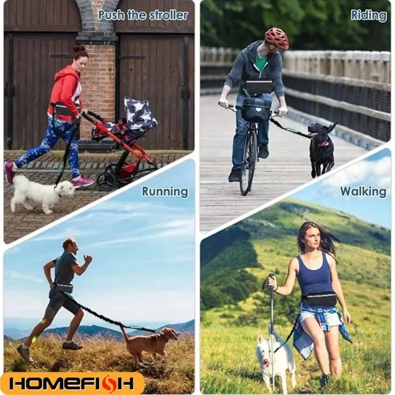 Hands-Free Reflective Dog Leash 4