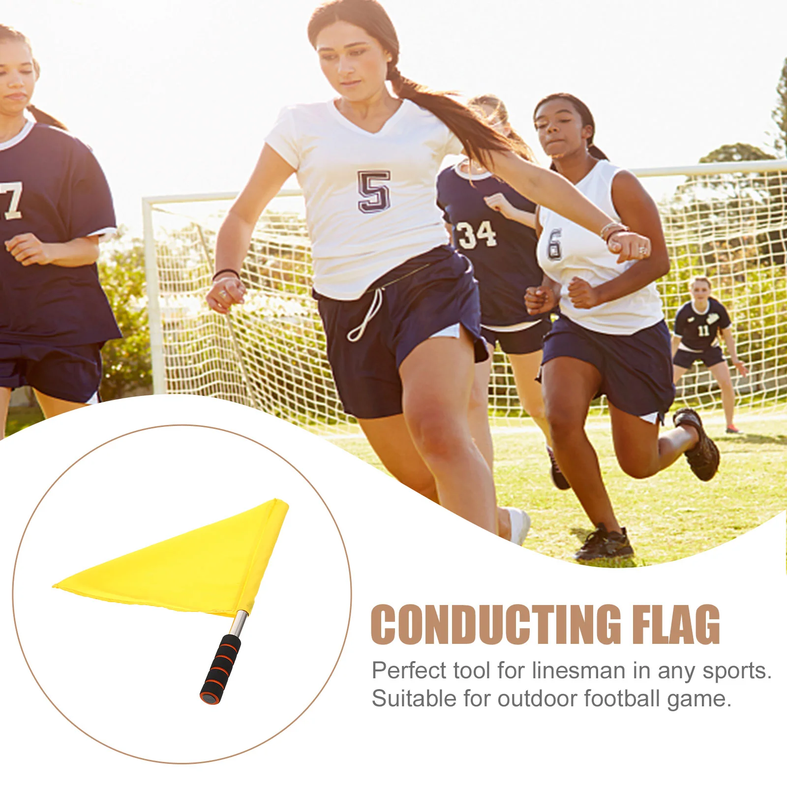 Рисунок 6 - Защитный цветной флаг рефери Флаги