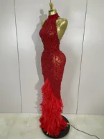 Luxury Sparkly Red Rhinestones Feather Sexy Mesh See Through Long Dress Women Birthday Evening Nightclub DJ Dancer Stage Costume - Image 3