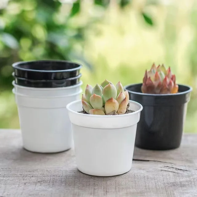 10-50Db Mini Plasztikai Óvoda Növény Termesztése Edények Kerek Virágpohár Tartály Otthoni Virágcserép Kerti Készletek Vetőmagállványokhoz - Image 3
