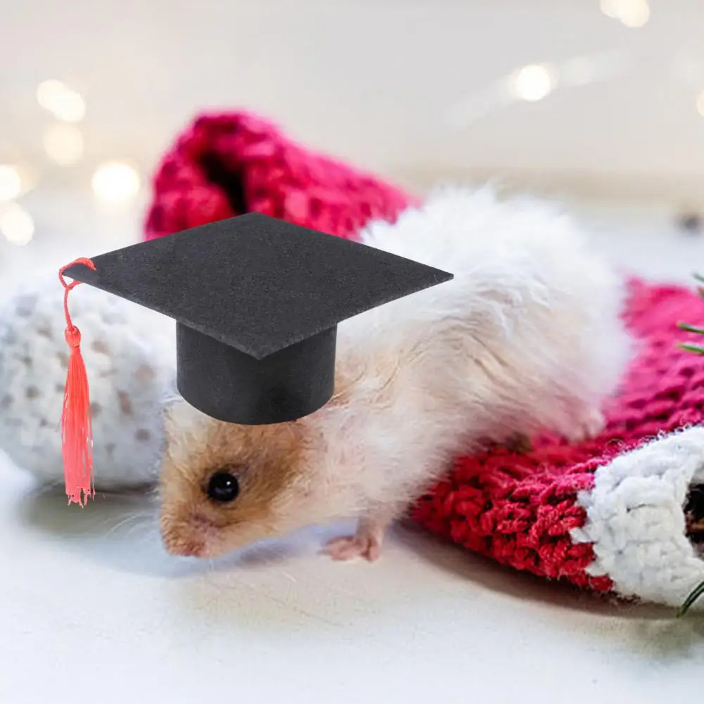

Pet Graduation Accessories Cute Mini Graduation Hat for Guinea Pig Hamster Pet Graduation Costume with Tassel for Home Party