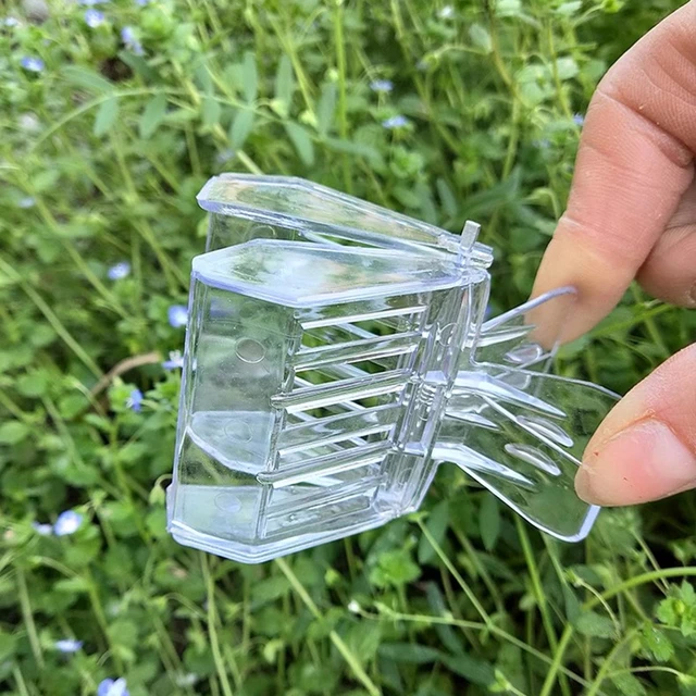 Queen Bee Catcher Ketrec Méhészek Rofesszionális Méhész Eszköz Műanyag Átlátszó Méhcsapda Clip Professzionális Méhészeti - Image 6