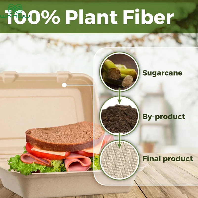 50 pcs Harvest Pack 9 X 6 inch Square Hinged Containers,Flip Top Take Out Boxes,Heavy Duty Bagasse Food Containers
