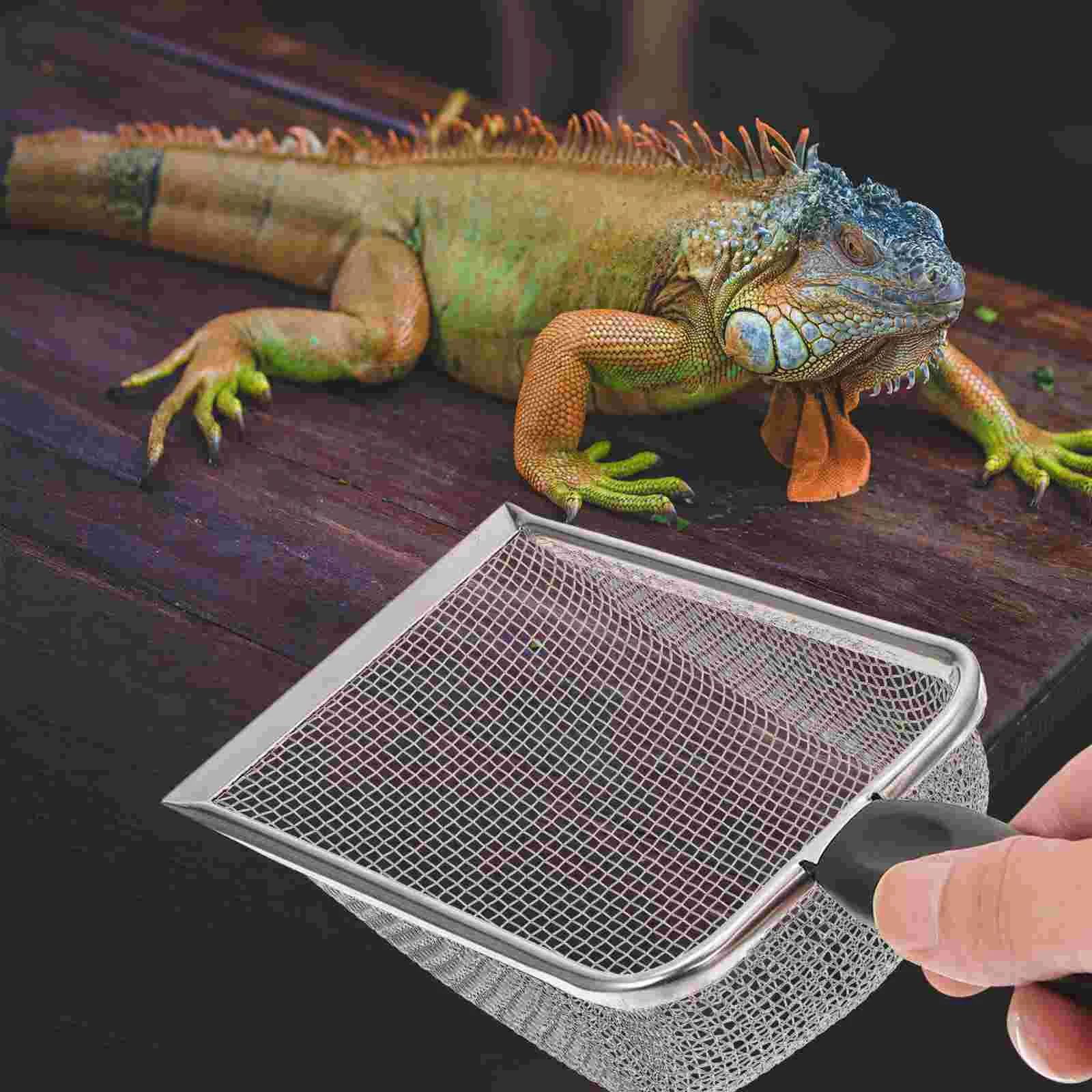 Sand Reptile Scoop Litter Scooper Mesh Reptiles Substrate Box Filtering Steel Stainless Bedding Cleaner Cat Sifter Metal Fine 5