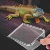Sand Reptile Scoop Litter Scooper Mesh Reptiles Substrate Box Filtering Steel Stainless Bedding Cleaner Cat Sifter Metal Fine 5