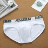 Men's cotton comfortable low waist elastic tide letter briefs youth underwear 2