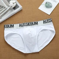 Men's cotton comfortable low waist elastic tide letter briefs youth underwear 2