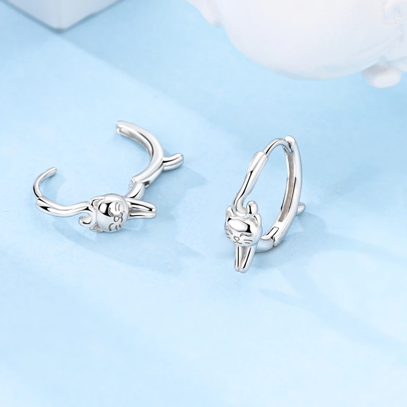 High Quality Luxury Sterling Silver Zircon Hoop Earrings For Women - PeticaDeals