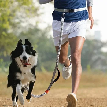 Hands-Free Running Dog Leash 1