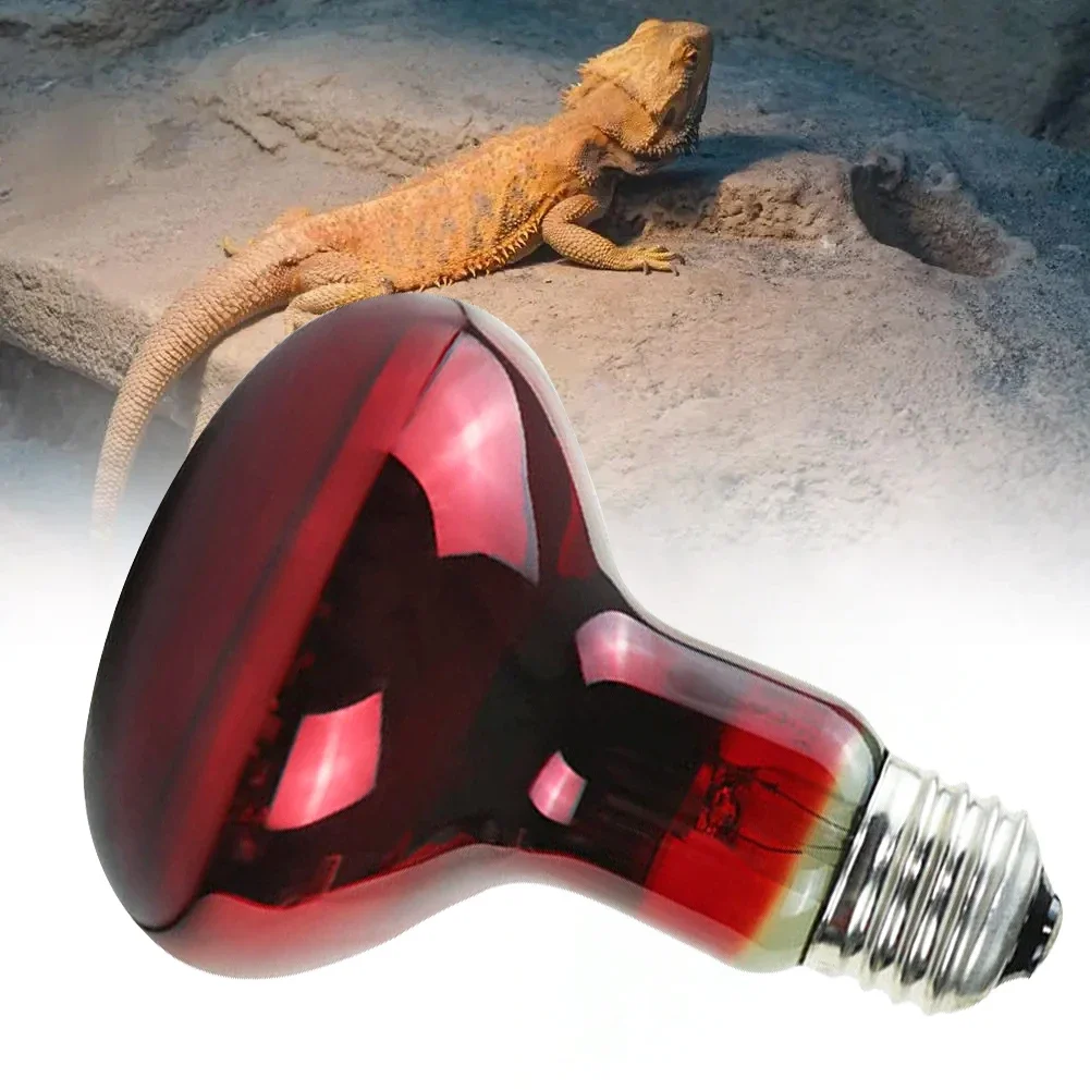 Amphibian Reptile Heating Lamp E27 Poultry Heating Bulb Pet Turtle Terrarium Snake Bulb Light 25W-100W 110-240V Amphibian Reptile Heating Lamp E27 Poultry Heating Bulb Pet Turtle Terrarium Snake Bulb Light 25W-100W 110-240V