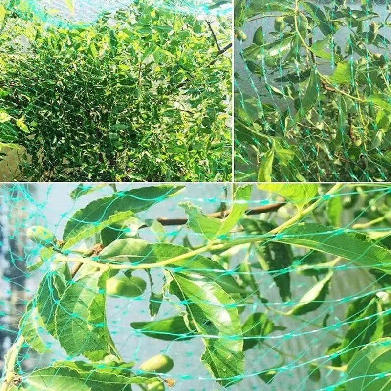Description Picture 5 of itemMesh Anti Bird Nets for Garden Orchard Plants Flowers Fruits Vegetable Crops Protection Fencing Stretch Pond Pool Protection Net