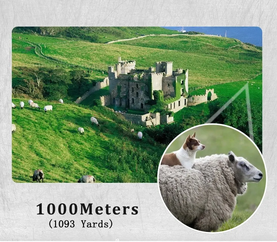 Teleskop z zoomem 10-300x40 HD Przenośna, mocna lornetka Profesjonalny monokular dalekiego zasięgu Niski noktowizor do polowań 18 S55801f7d241a4c6587a9c079e5fdbd55N Teleskop z zoomem 10-300x40 HD Przenośna, mocna lornetka Profesjonalny monokular dalekiego zasięgu Niski noktowizor do polowań