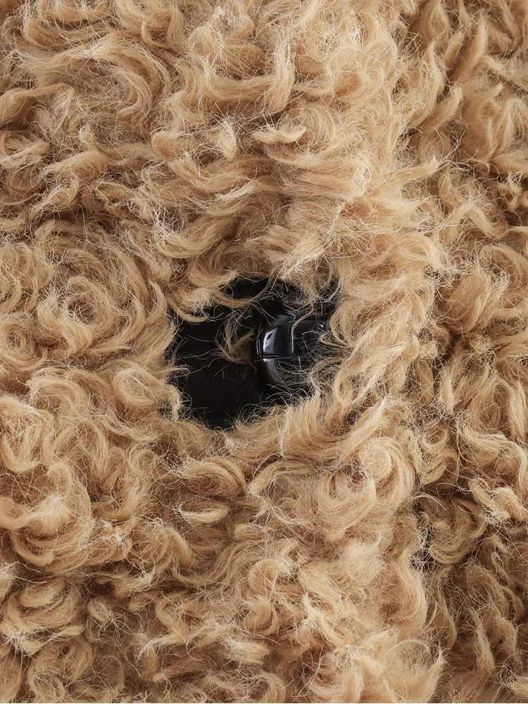 Winter Woman 2025 Faux Fur Coat Autumn Fur Plush Fluffy Jacket Loose Soft Solid Color Fur Short Outerwears Elegant Ladies New