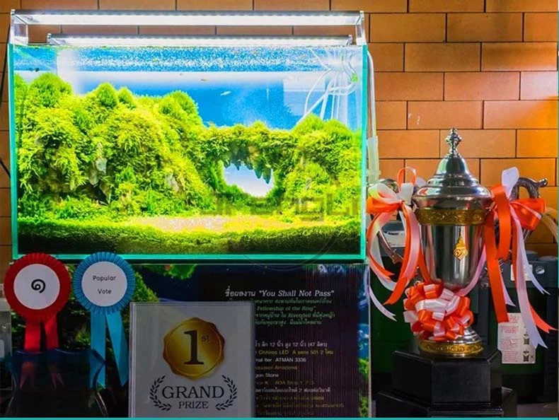 O1CN01wOtFft22n9wZOza3N_!!2925037164