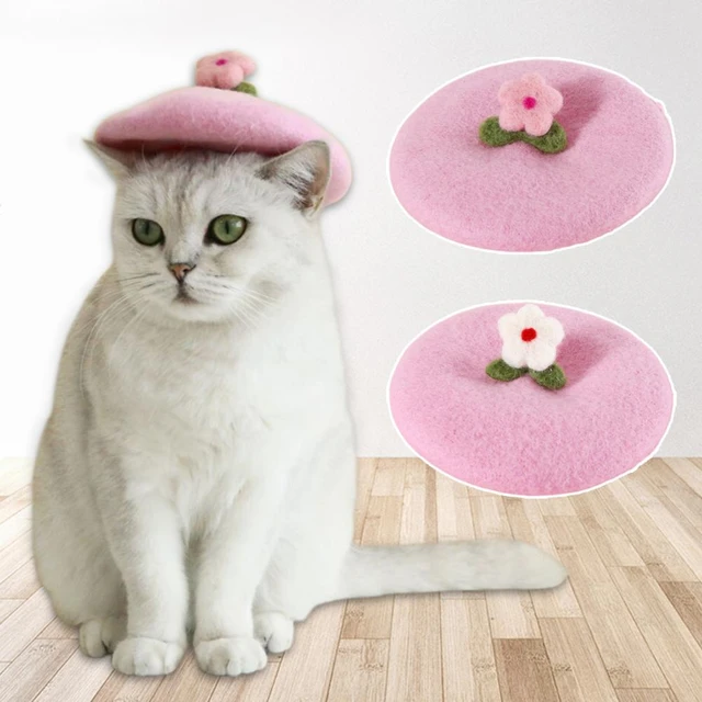 Chapéu bonito para gato desenho dos desenhos animados vestir-se traje  animal de estimação boné manter quente headwear cosplay acessórios para  gatos cães pequenos y5gb - AliExpress