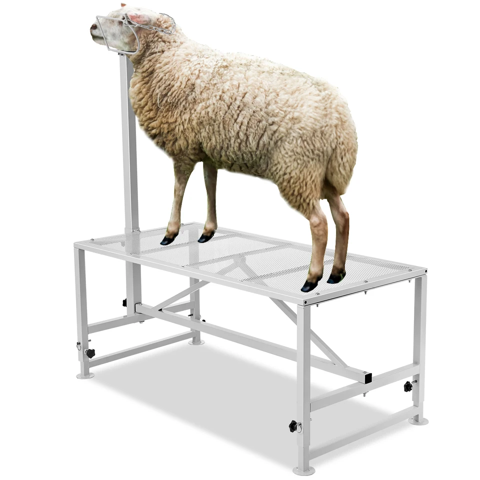 Adjustable Goat Sheep Livestock Milking Shearing Stand
