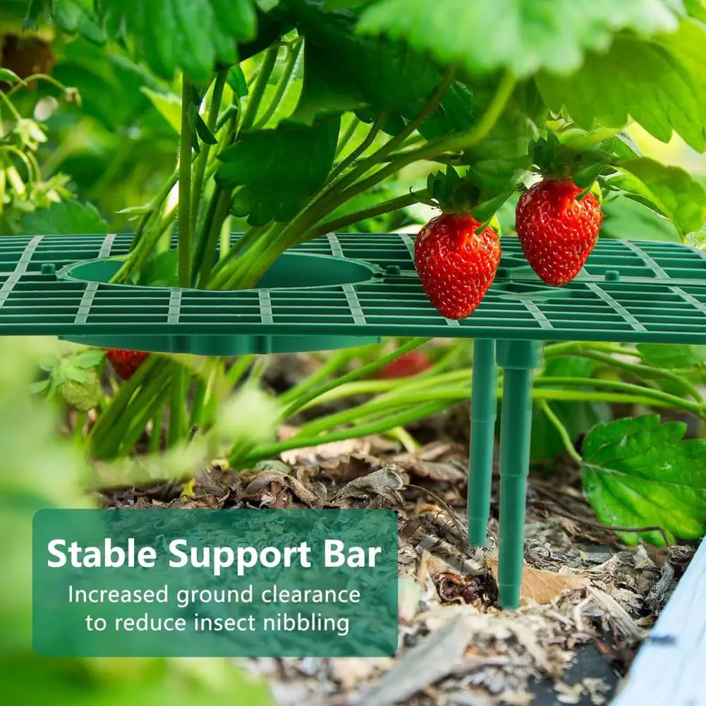 

Strawberry Growing Frame Strawberry Plant Support Frame Breathable Hollow Design for Easy Installation Fruit Growing Rack