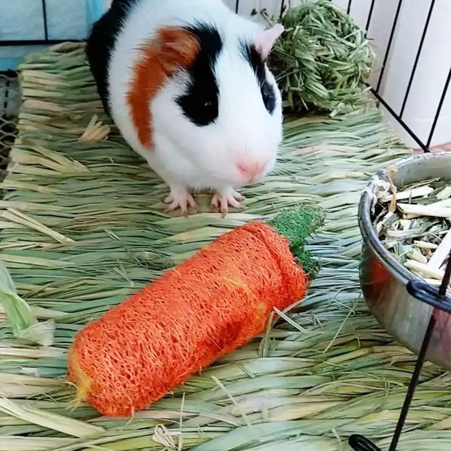 Rabbit Woven Straw Mat Small Animal Hay Mat 2 Sizes Hamster Piglet Guinea Pig Cage Pet Woven Mattress and Chew Toy