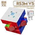 Magnetic Dual Robot