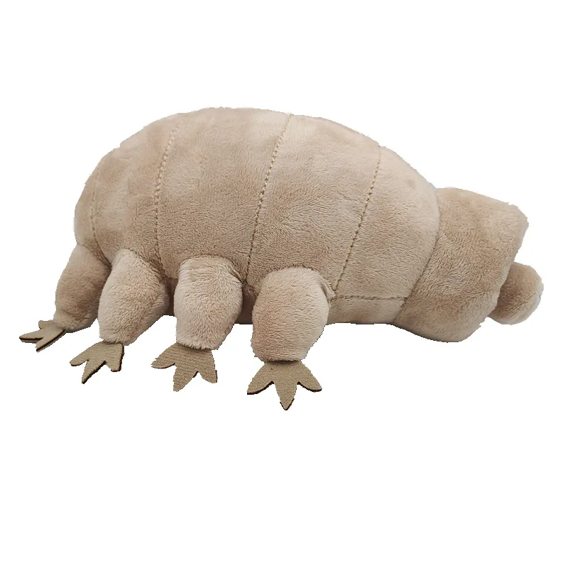 Jouet En Peluche Tardigrade, Animaux En Peluche Créature De La Mer, Poupée  En Peluche Ours D'eau De 25 Cm, Jouets En Peluche Laids Tardigrade, Jouet  En Peluche Super Doux Pour Enfant Et