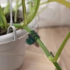 50/100Pcs Plant Clips Butterfly Orchid Flower Support Clamp Fruit Vegetable Stem Vine Branch Tied Buckle Grafting Gardening Tool 4