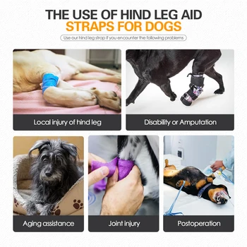 Adjustable Dog Hind Leg Sling strap 3