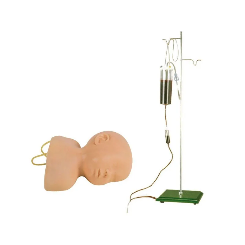 

G1/G2 Medical Science Educational Models Infant Child Scalp Venipuncture Training Model