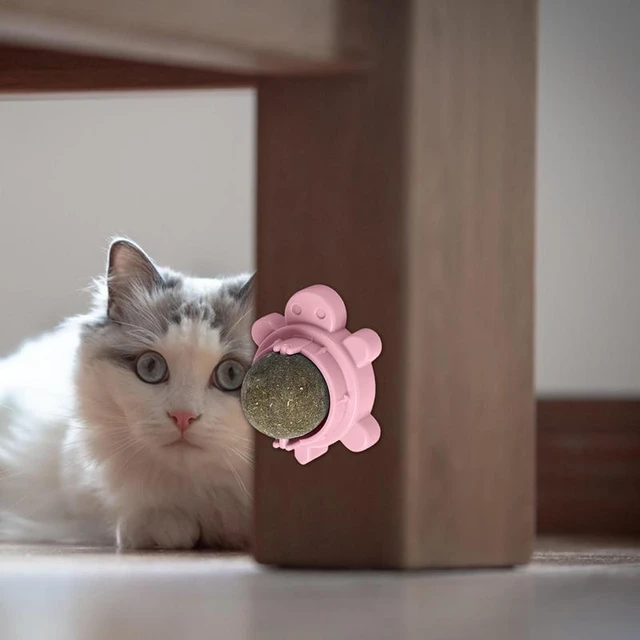 لعبة مضغ القطط على الحائط قابلة للتدوير في الأماكن المغلقة ، لعبة مضغ للقطط  على الحائط قابلة للأكل ، لأبواب وأبواب الهريرة - AliExpress