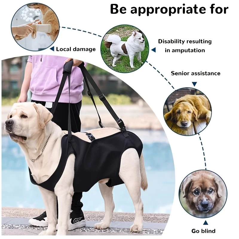 Dog Support Lift 6