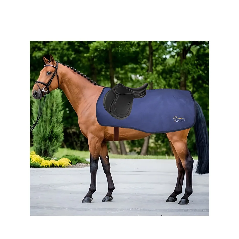 Equestrian Exercise Horse Rugs, Ride Horse Blanket, Equestrian Equipment, Riding Train Aid