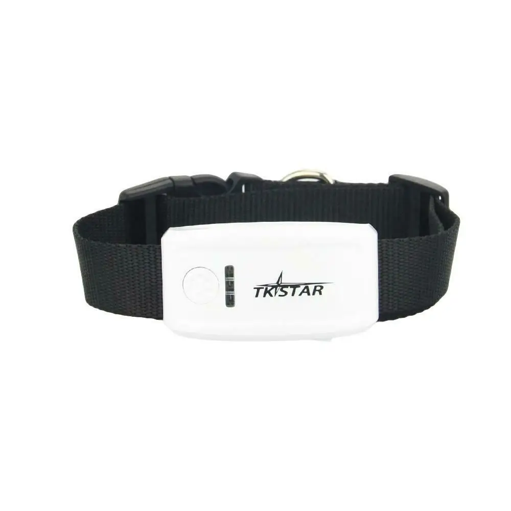 TK909 PET GPS Tracker for cats/dogs real-time FREE web platfrom No box 300g34e
