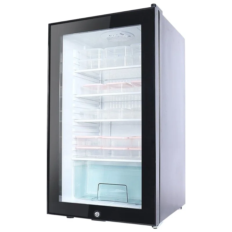 Hotel Room Refrigerators Small Commercial Refrigerator Portable for Bar