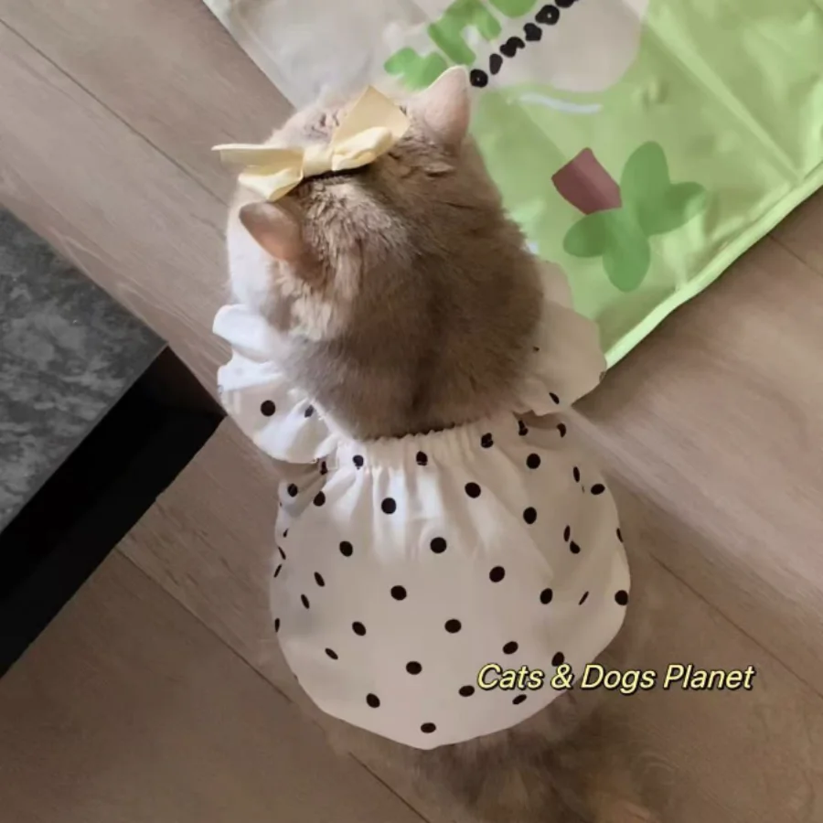 1pc 클래식 폴카 도트 애완동물 탱크탑, 털빠짐 방지 애완동물 탱크탑 드레스, 테디베어, 소형 및 중형 고양이와 강아지 옷