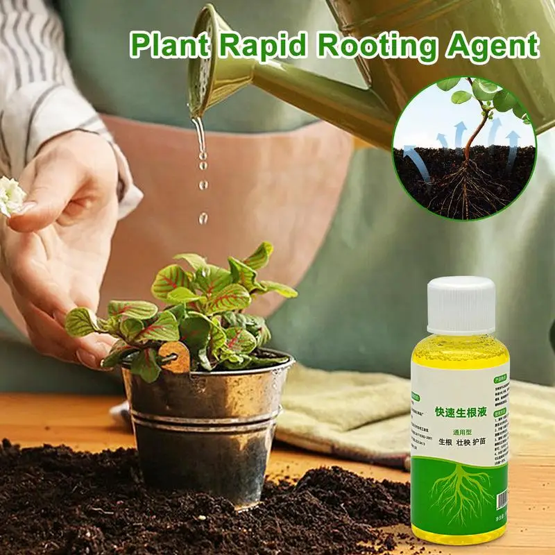 Root Booster for Plants Quick Liquid Rooting Hormones Root Starter for Plant Cuttings Professional Flower Tree Stimulator liquid rooting hormones