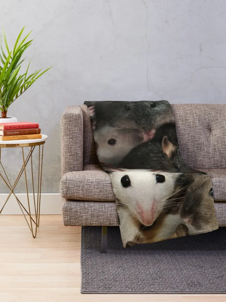     ħ 並 