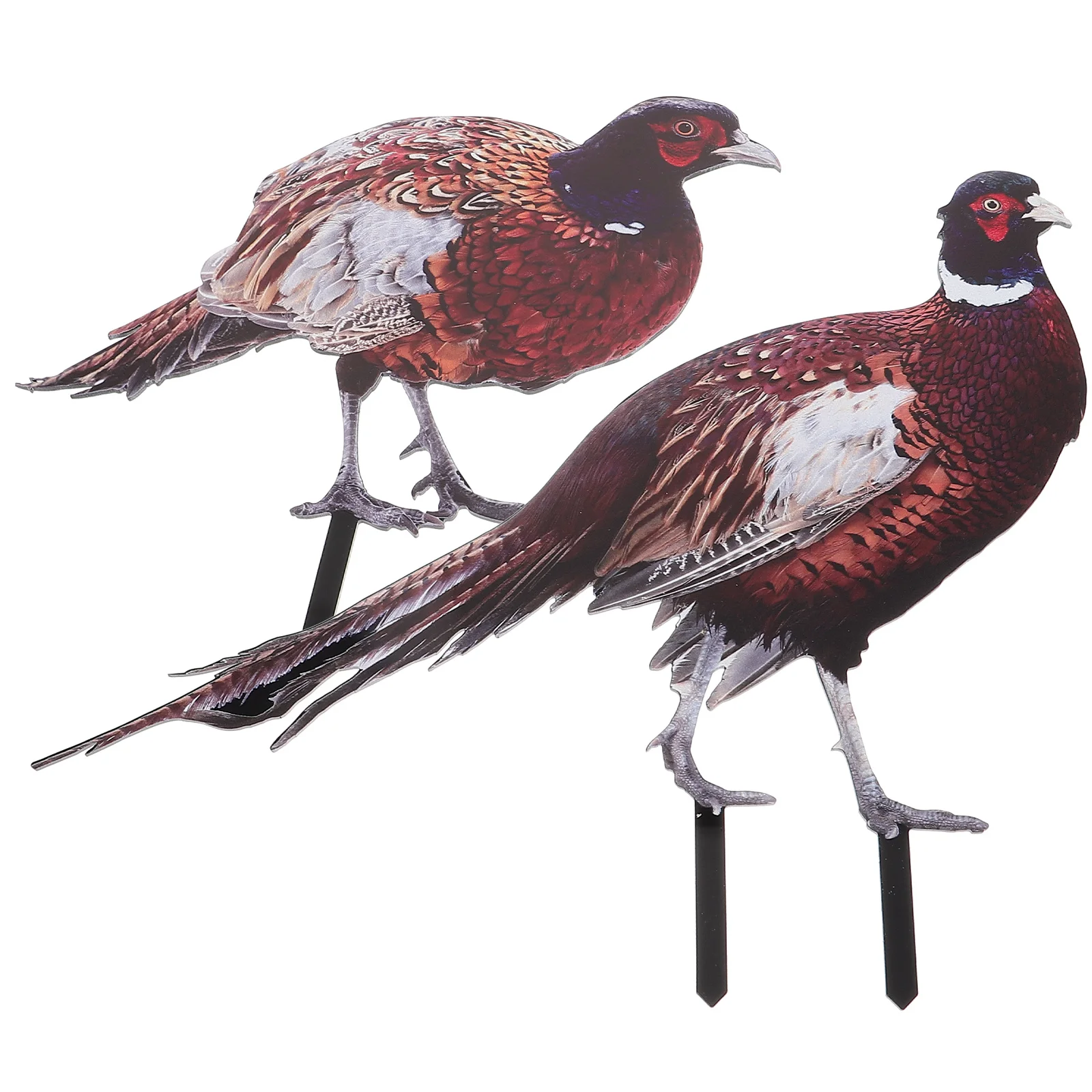 

2 Pcs Garden Sculpture Pheasant Garden Decoration Yards Decorative Sign Lawn Stake Outdoor Adornment Hen Acrylic
