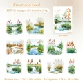 B Reeds By The River