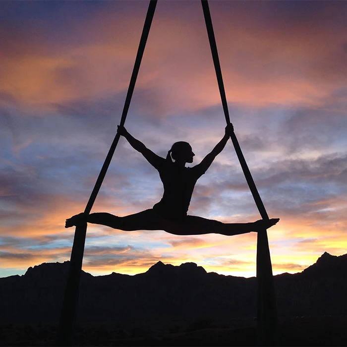 11 Yards Aerial Silks Kit Aerial Swing for Acrobatic Flying Yoga Durable Silks Hardware Swivel All Levels