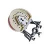 28/32 Teeth Model For Dental Technician Practice Training Jaw Typodont  Standard Dental Model Teeth Teaching Model With Soft Gum 5