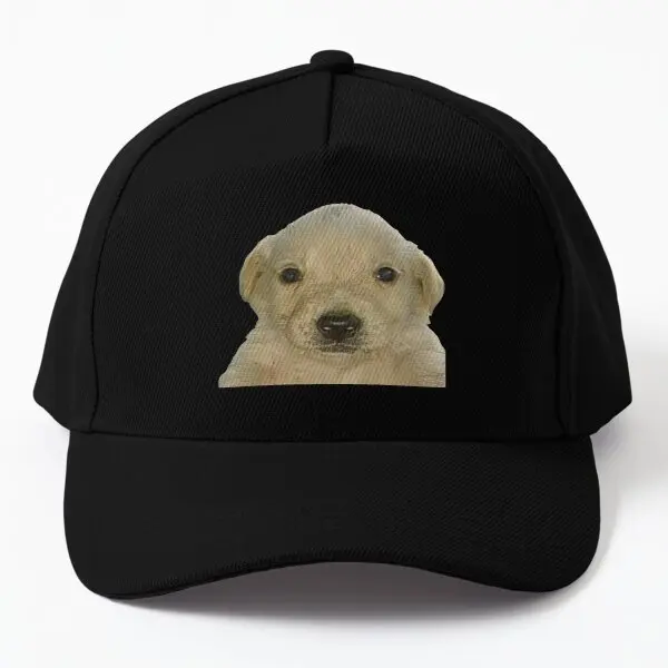 

Бейсболка Jotchua Meme Jotchua Dog, мужская Кепка в стиле хип-хоп, летняя Снэпбэк Кепка для улицы, однотонная Повседневная Кепка для мальчиков с принтом