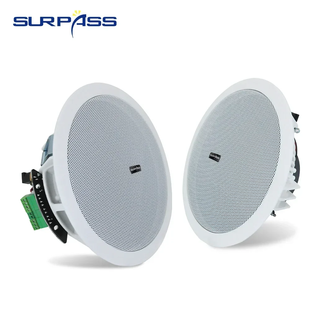 Ceiling Speaker Bluetooth 6'' 20W Home Audio System Built in Digital Class D Amplifier for Hotel Residential