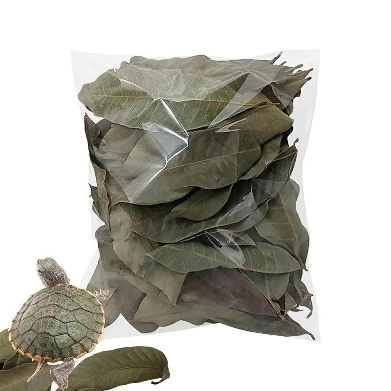 Fish Tank Longan Leaves Accessori Per Acquari Artificiali Decor Plants Leaf Migliora La Qualità Dell'Acqua Per Gamberetti Betta Goldfish Turtle
