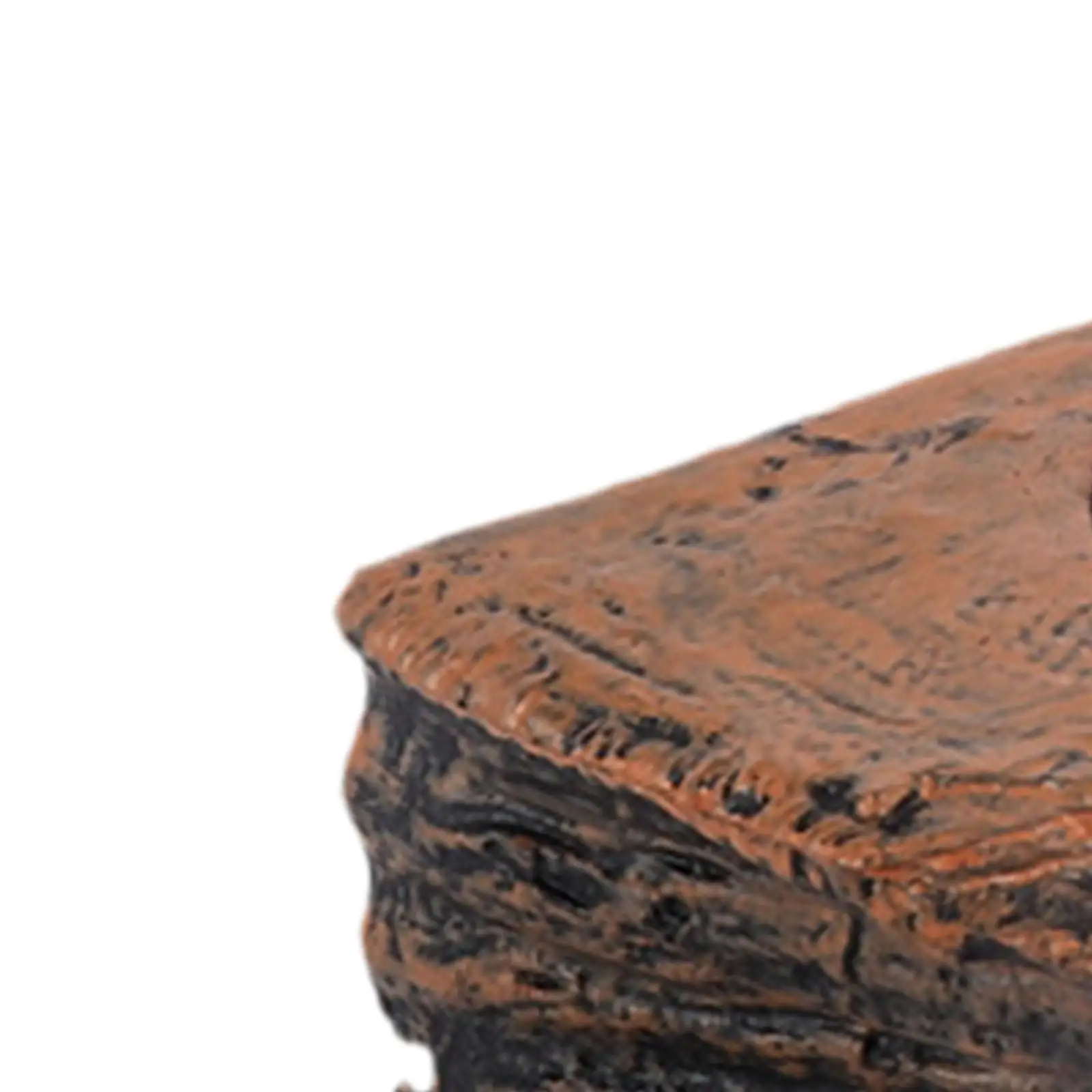 ملحقات الزواحف حافة مغذية مغناطيسية وعاء بلاستيكي للطعام للبرص والإغوانا والسحالي ومستلزمات الحوض