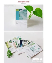 Boxed Set of Artistic Blessing Greeting Cards - 30 Creative and Fresh Designs - 143x93mm ( Light Yellow)