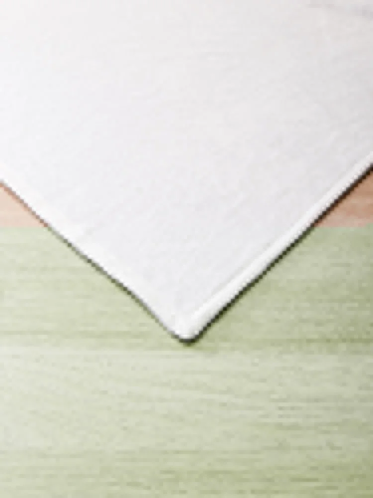 Focus ST Throw ���, ���ſ� �����̳�, ������ ����, ������ �ܿ� ħ��, ���� ���