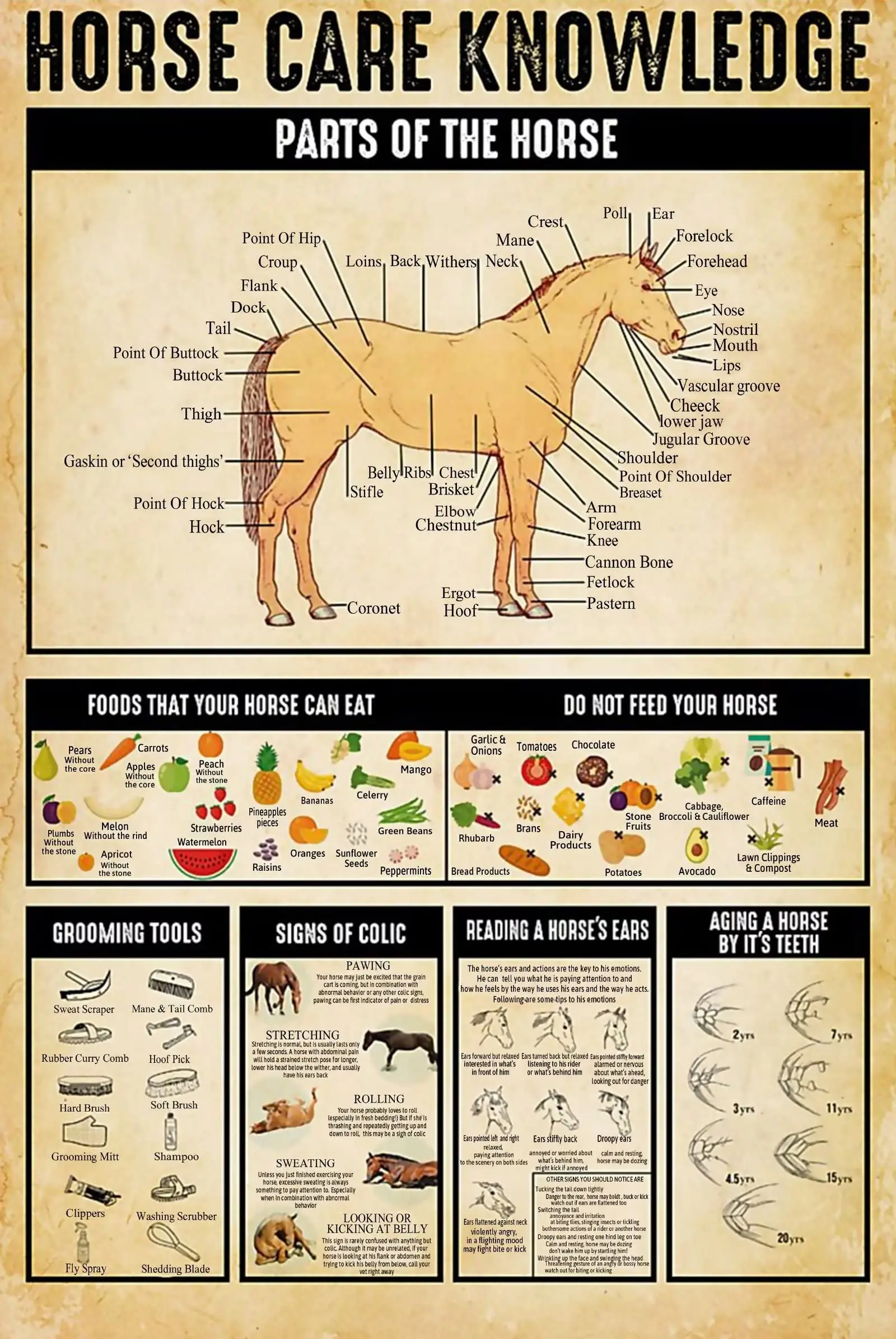 Знания о уходе за лошадью, металлические жестяные плакаты, забавные плакаты с едой, которые ваша лошадь может есть, для загородного дома, фермы, клуба, школы Знания о уходе за лошадью, металлические жестяные плакаты, забавные плакаты с едой, которые ваша лошадь может есть, для загородного дома, фермы, клуба, школы