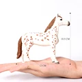Appaloosa