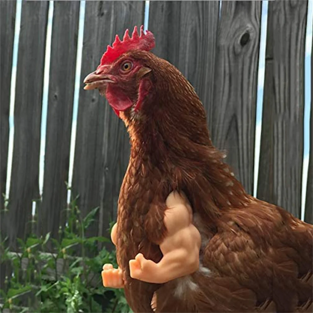 ChickenToyChickenArmToyGagGiftFunnyMuscleBirdForelimb