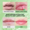 Natural Aloe Lipstick Lip Tint Long Lasting Waterproof Moisturizing Nourish Color Lip Gloss Changeable Color Lip Oil Lip Balm 6