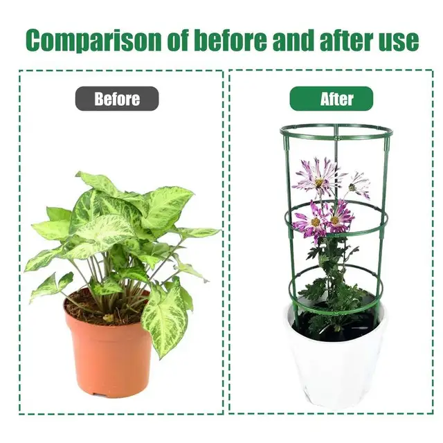 Növényi Tét És Támaszkodik A Zöld Szárú Virág Félkerekes Támogatáshoz, Nem Könnyű Rozsdásodni Kellékek Használatával - Image 5